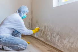 Best Attic Mold Removal  in Bogalusa, LA