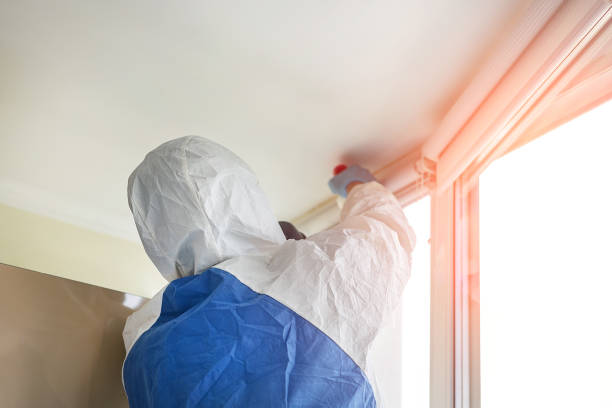 Why You Should Choose Our Mold Remediation Services in Bogalusa, LA